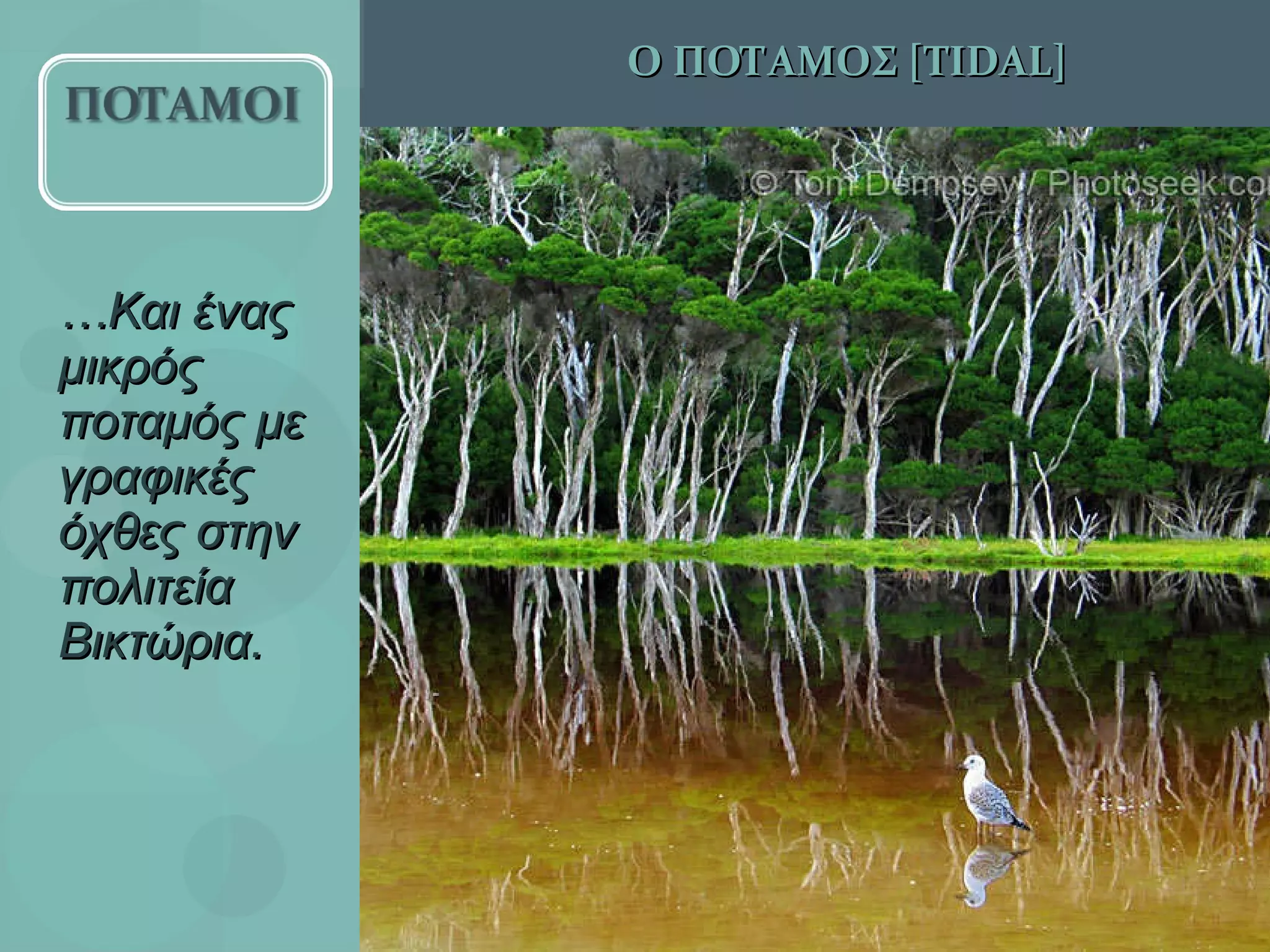 … Και ένας μικρός ποταμός με γραφικές όχθες στην πολιτεία Βικτώρια. Ο ΠΟΤΑΜΟΣ [ TIDAL]  