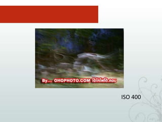พบสถานที่ห้ามใช้แฟลชภาพที่ 1เนื่องจากแทบไม่มีแสงสว่างเลย ใช้ ISO 400 ยังไม่สามารถมองอะไรเห็น