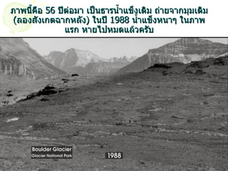 ภาพนี้คือ  56  ปีต่อมา เป็นธารน้ำแข็งเดิม ถ่ายจากมุมเดิม  ( ลองสังเกตฉากหลัง )  ในปี  1988  น้ำแข็งหนาๆ ในภาพแรก หายไปหมดแล้วครับ 