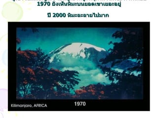 ภูเขา  Kilimanjaro  เป็นภูเขาที่สูงที่สุดใน  Africa  ภาพเมื่อปี  1970  ยังเห็นหิมะบนยอดเขาเยอะอยู่ ปี  2000  หิมะละลายไปมาก   