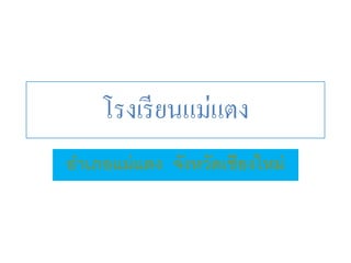โรงเรี ยนแม่แตง
อำเภอแม่ แตง จังหวัึϹชียงใหม่
 