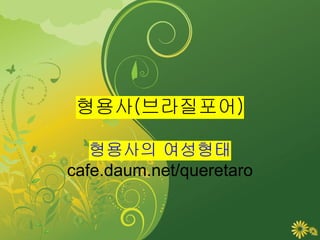 형용사(브라질포어)

   형용사의 여성형태
cafe.daum.net/queretaro
 