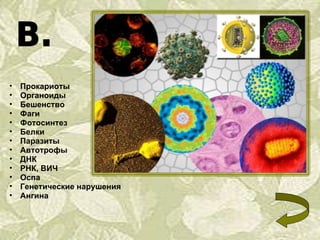 Прокариоты Органоиды Бешенство Фаги Фотосинтез Белки Паразиты Автотрофы ДНК РНК, ВИЧ Оспа Генетические нарушения Ангина 