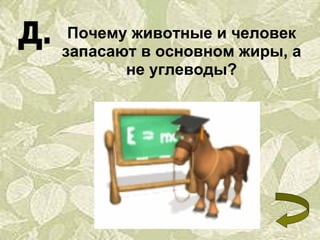 Почему животные и человек запасают в основном жиры, а не углеводы? 
