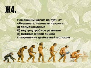 Решающим шагом на пути от обезьяны к человеку явилось: а) прямохождение б) внутриутробное развитие в) питание живой пищей г) кормление детёнышей молоком 