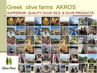 Greek  olive farms  AKROS SUPPERIOR  QUALITY OLIVE OILS  & OLIVE PRODUCTS 