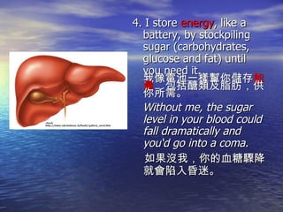 4. I store  energy , like a battery, by stockpiling sugar (carbohydrates, glucose and fat) until you need it. 我像電池一樣幫你儲存 能量 ，包括醣類及脂肪，供你所需。 Without me, the sugar level in your blood could fall dramatically and you‘d go into a coma. 如果沒我，你的血糖驟降就會陷入昏迷。 