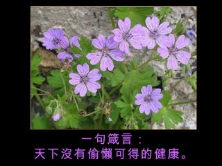 一句箴言： 天下沒有偷懶可得的健康。 