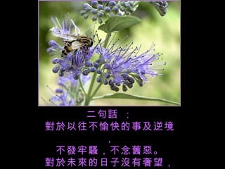 二句話 ： 對於以往不愉快的事及逆境， 不發牢騷，不念舊惡。 對於未來的日子沒有奢望， 但求平安幸福。 