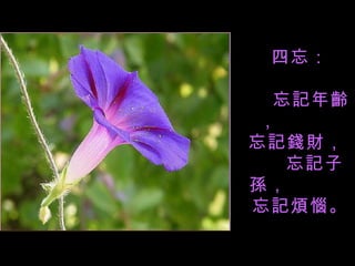 四忘： 忘記年齡， 忘記錢財， 忘記子孫， 忘記煩惱。 