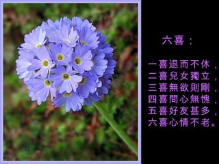 六喜： 一喜退而不休， 二喜兒女獨立， 三喜無欲則剛， 四喜問心無愧， 五喜好友甚多， 六喜心情不老。 
