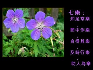 七樂： 知足常樂， 閒中作樂， 自得其樂， 及時行樂， 助人為樂， 行善是樂， 平安最樂。 