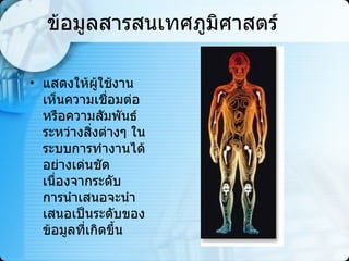 ข้อมูลสารสนเทศภูมิศาสตร์ แสดงให้ผู้ใช้งานเห็นความเชื่อมต่อหรือความสัมพันธ์ระหว่างสิ่งต่างๆ ในระบบการทำงานได้อย่างเด่นชัด เนื่องจากระดับการนำเสนอจะนำเสนอเป็นระดับของข้อมูลที่เกิดขึ้น   