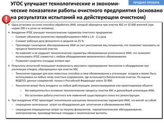 Опыт руководства коллективом в 10 человек