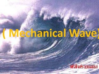 คลื่นกล ( Mechanical Wave) 