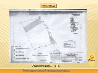 План Завода Общая площадь 7.45 Га. 