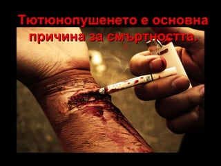 Тютюнопушенето е основна причина за смъртността. 
