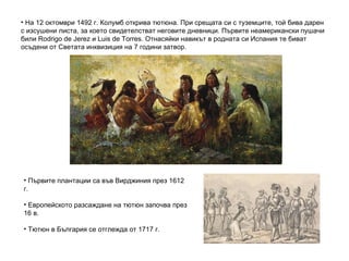 На 12 октомври 1492 г. Колумб открива тютюна. При срещата си с туземците, той бива дарен с изсушени листа, за което свидетелстват неговите дневници. Първите неамерикански пушачи били Rodrigo de Jerez и Luis de Torres. Отнасяйки навикът в родната си Испания те биват осъдени от Светата инквизиция на 7 години затвор. Първите плантации са във Вирджиния през 1612 г. Европейското разсаждане на тютюн започва през 16 в. Тютюн в България се отглежда от 1717 г. 