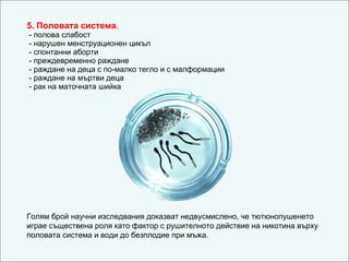 5.  Половата система .  -  полова слабост  -  нарушен менструационен цикъл  -  спонтанни аборти  -  преждевременно раждане  -  раждане на деца с по-малко тегло и с малформации  -  раждане на мъртви деца  -  рак на маточната шийка Голям брой научни изследвания доказват недвусмислено, че тютюнопушенето играе съществена роля като фактор с рушителното действие на никотина върху половата система и води до безплодие при мъжа. 
