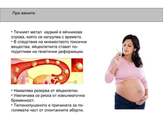 Течният метал  кадмий е яйчникова отрова, която се натрупва с времето. В следствие на множеството токсични вещества, яйцеклетките стават по-податливи на генетични деформации. Намалява резерва от яйцеклетки. Увеличава се риска от извънматочна бременност. Тютюнопушеното е причината за по-голямата част от спонтанните аборти. При жените: 