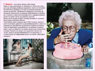 7.  Кожата   –  изтън ял а ,  бледа  и бръчкава; Само от едно дръпване от цигарата, в тялото ви попа - дат над милиард свободни радикали, които се полепват по белите ви дробове, а оттам се разпространяват в целия организъм. Свободните радикали са сочени за основния причинител на редица заболявания и пробле - ми с кожата и само анти-оксидантите и здравословният начин на живот могат да намалят щетите. Всяка кутия цигари изгаря толкова витамин С, колкото има в един килограм ябълки. Тютюневият дим съдържа над 4 000 токсина, някои от които се вли в ат директно в кръвообращението, което ги отвежда до най-фините кръвоносни съдове на кожата. Така се намалява съдържанието на колаген в кожата, който, както е известно, се грижи кожата да е еластична и свежа. Кожата на лицето на пушачите е много по-тънка, защото кръвоснабдяването й е нарушено, а тънката кожа се набраздява много по-лесно, обясняват лекарите.  