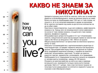 КАКВО НЕ ЗНАЕМ ЗА НИКОТИНА? Цигарата съдържа около 40-50 мг никотин, който ако се инжектира директно в кръвообращението, може да причини смърт а  на човек. Когато се пуши се освобождава само 1/24 част от тази отрова, но лошото е, че тя се натрупва ежедневно и вреди на организма. 60 мг никотин поставени под езика са достатъчно количество за да се убие човек. Никотина е психостимулатор, също като кофеина, амфетамините, кокаина и пр. Срещу него се изгражда много силна зависимост, по-силна от тази спрямо кокаина, и същата като тази спрямо хероина, морфина и кодеина. Изпушвайки една цигара поглъщаме от 0,1 до 1,8 милиграма никотин. Смъртоносната доза при вътрешен прием на никотин при човек е 50-100 мг за непушачи и 100 - 400 мг за пушачи. Общата продължителност на присъствие на никотина в кръвта е около 12 часа. Никотинът си взаимодейства с ацетилхолиновите рецептори от типа N-рецептори- те предват нервните импулси към мускулите, мозъка. При въздействие върху клетките на мозъка се отделят бета- ендорфини/ ендогенни опиоиди, с подобни на опиатите свойства/, катехоламини, серотонин. Те водят до приятно, радостно чувство, задоволство, успокояване ,  но и привикване. Необходимостта от поддържане на никотин в кръвта се определя от неговия кратък полуразпад   - между 45-100 минути. Отровата на никотина действа на клетъчно ниво и уврежда вътрешното ухо, проводните пътища и мозъчните слухови центрове. Както от 1 цигара, така и при постоянно пушене се получава пълно разрушаване на клетките и нервните тъкани на слуховия и вестибуларния апарат.  
