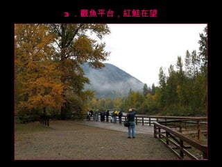 3 ．觀魚平台，紅鮭在望 