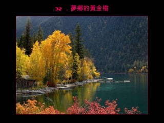 32 ．夢鄉的黃金樹 