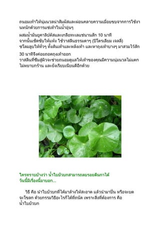 ๶คล็ด