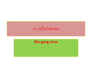 รร แม่ริมวิทยาคม

Bio gang.mrw
 