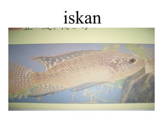 iskan 