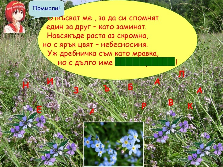 Гатанки за цветя