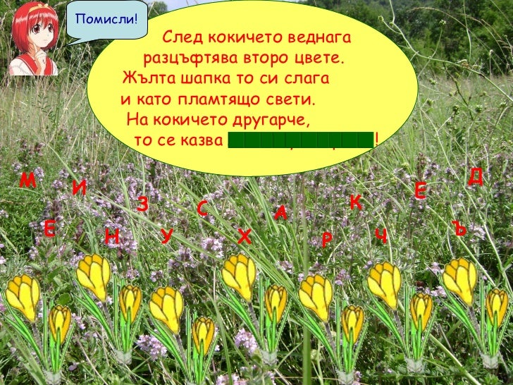Гатанки за цветя