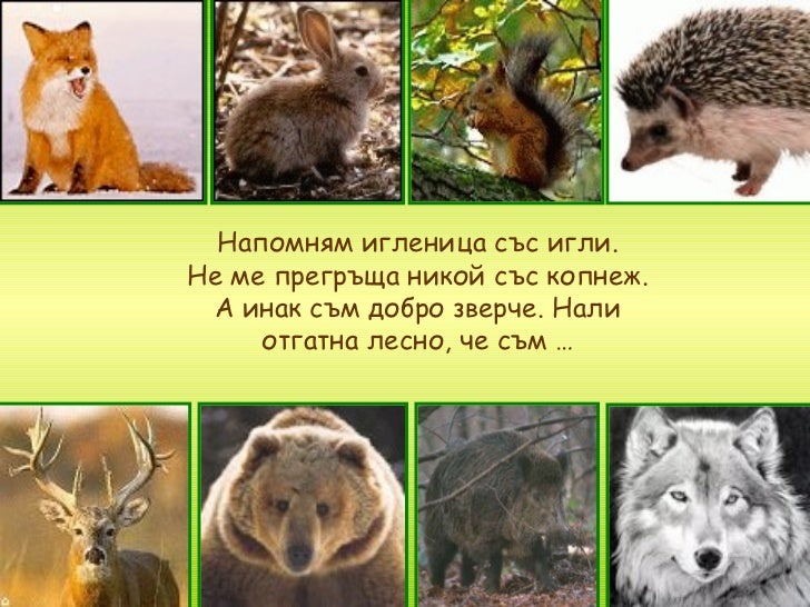 Животните в гората