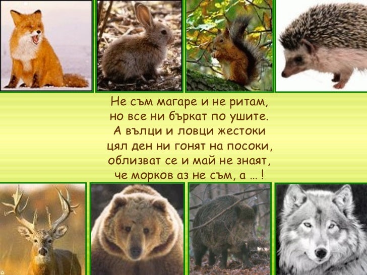 Животните в гората