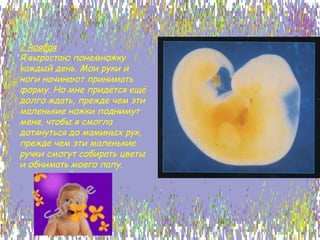 2 ноября Я вырастаю понемножку каждый день. Мои руки и ноги начинают принимать форму. Но мне придётся ещё долго ждать, прежде чем эти маленькие ножки поднимут меня, чтобы я смогла дотянуться до маминых рук, прежде чем эти маленькие ручки смогут собирать цветы и обнимать моего папу. 