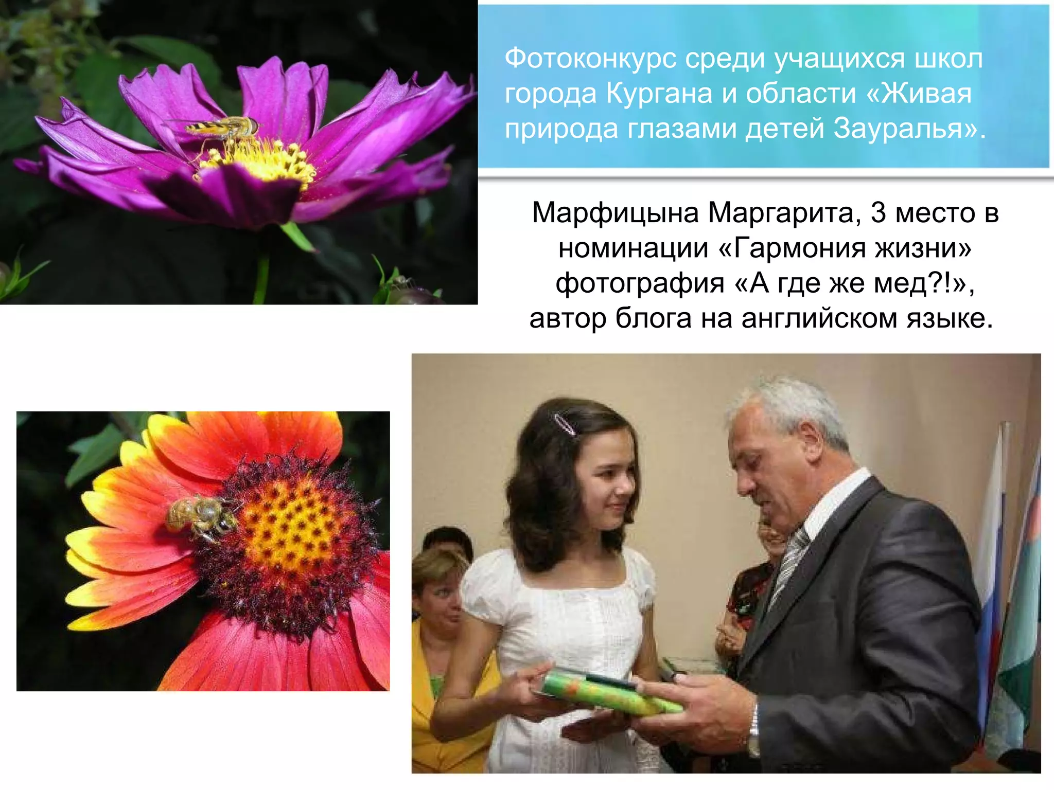 Фотоконкурс среди учащихся школ города Кургана и области «Живая природа глазами детей Зауралья».  Марфицына Маргарита, 3 место в номинации «Гармония жизни» фотография «А где же мед?!», автор блога на английском языке.  
