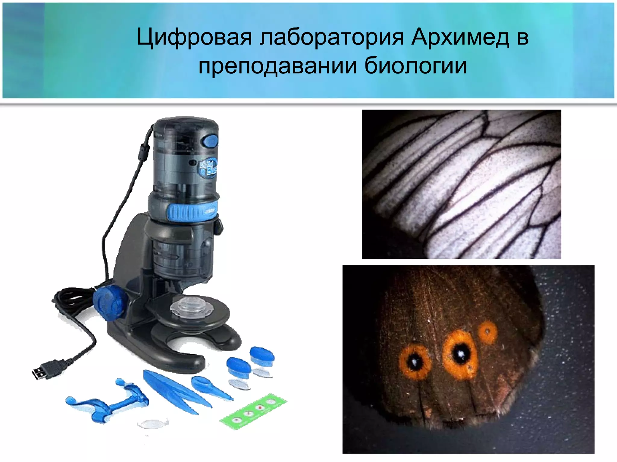 Цифровая лаборатория Архимед в преподавании биологии 