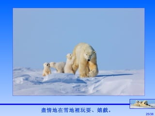 盡情地在雪地裡玩耍、嬉戲。 