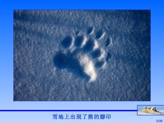 雪地上出現了熊的腳印 