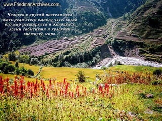 Человек в другой постели стал жить ради этого одного часа, когда его мир расширялся и оживлялся всеми событиями и красками внешнего мира. 