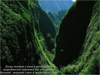 Когда человек у окна в мельчайших подробностях описывал всё это ,  второй больной  закрывал глаза и представлял себе красочные картины . 