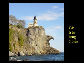 Cỡi  trên  lưng  ó biển 