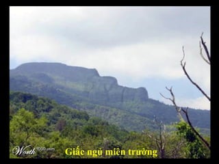 Giấc ngủ miên trường 