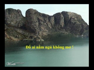 Đố ai nằm ngủ không mơ ! 