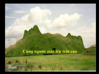 Cùng ngước mắt lên trời cao 