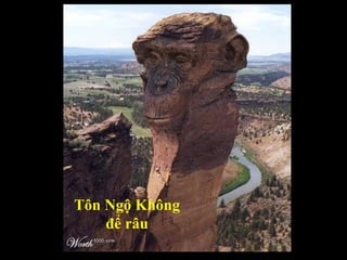 Tôn Ngộ Không để râu 