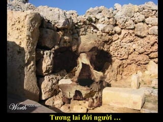 Tương lai đời người … 