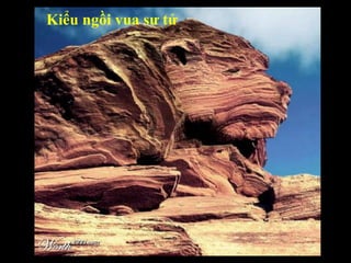 Kiểu ngồi vua sư tử 