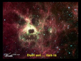 Đười ươi … tinh tú 